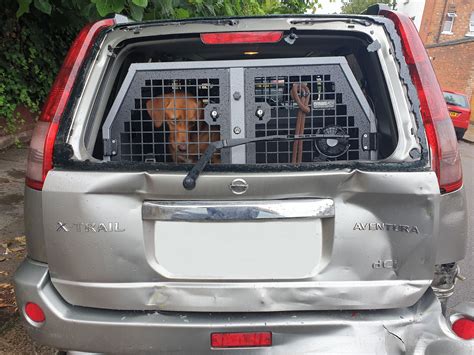 soft dog crate crash tested|crash proof dog crate for car.